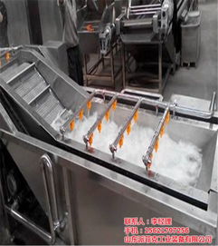 山東派菲克蔬菜噴淋清洗機(jī) 提升新疆蔬菜清洗效率的專業(yè)設(shè)備