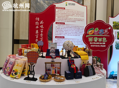 共謀發展愿景 東盟產業合作區百色片區投資管理座談會在杭州舉行